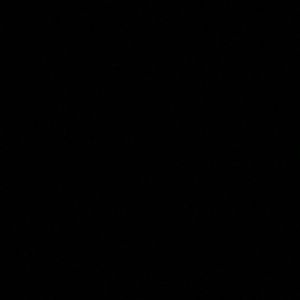 Meet your Posher, Malachi